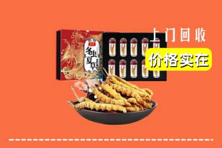 张家口市回收冬虫夏草